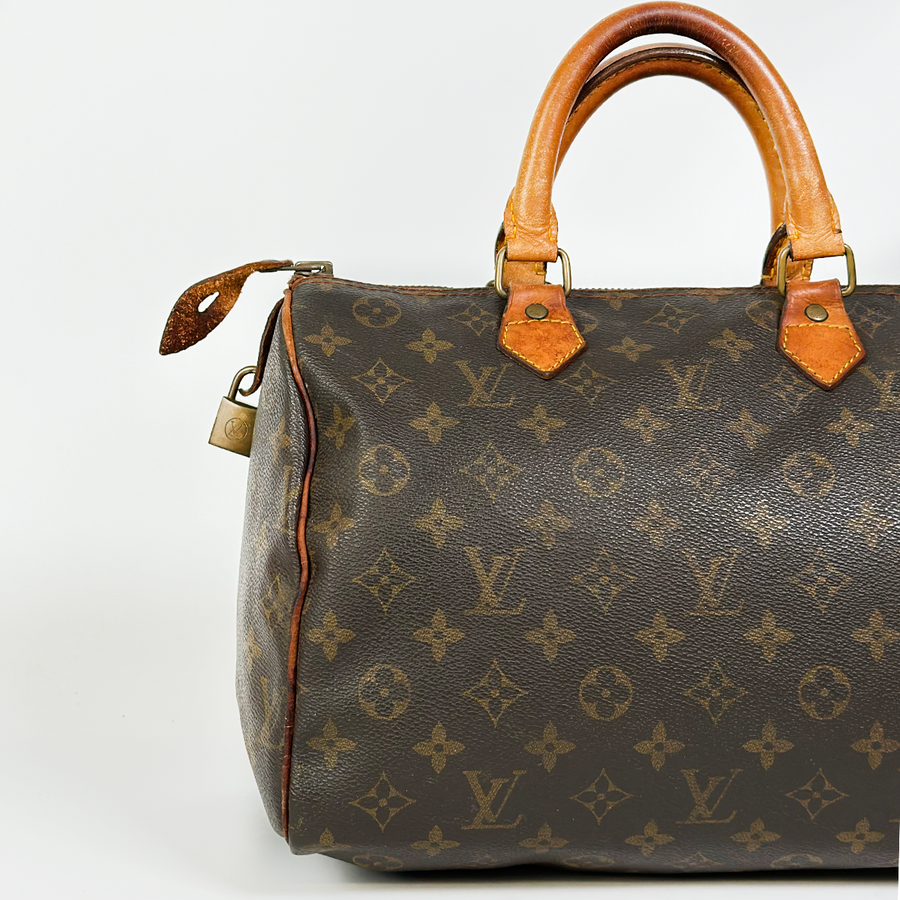 Louis Vuitton Speedy (30)