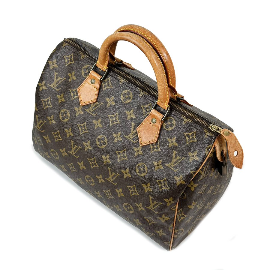 Louis Vuitton Speedy (30)