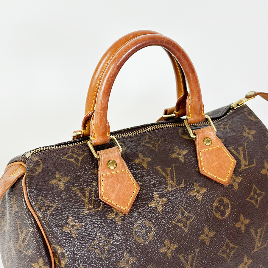 Louis Vuitton Speedy (25)