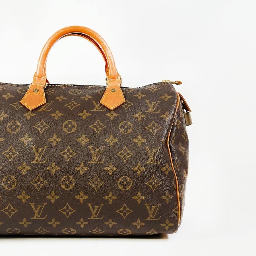 Louis Vuitton Speedy (30)