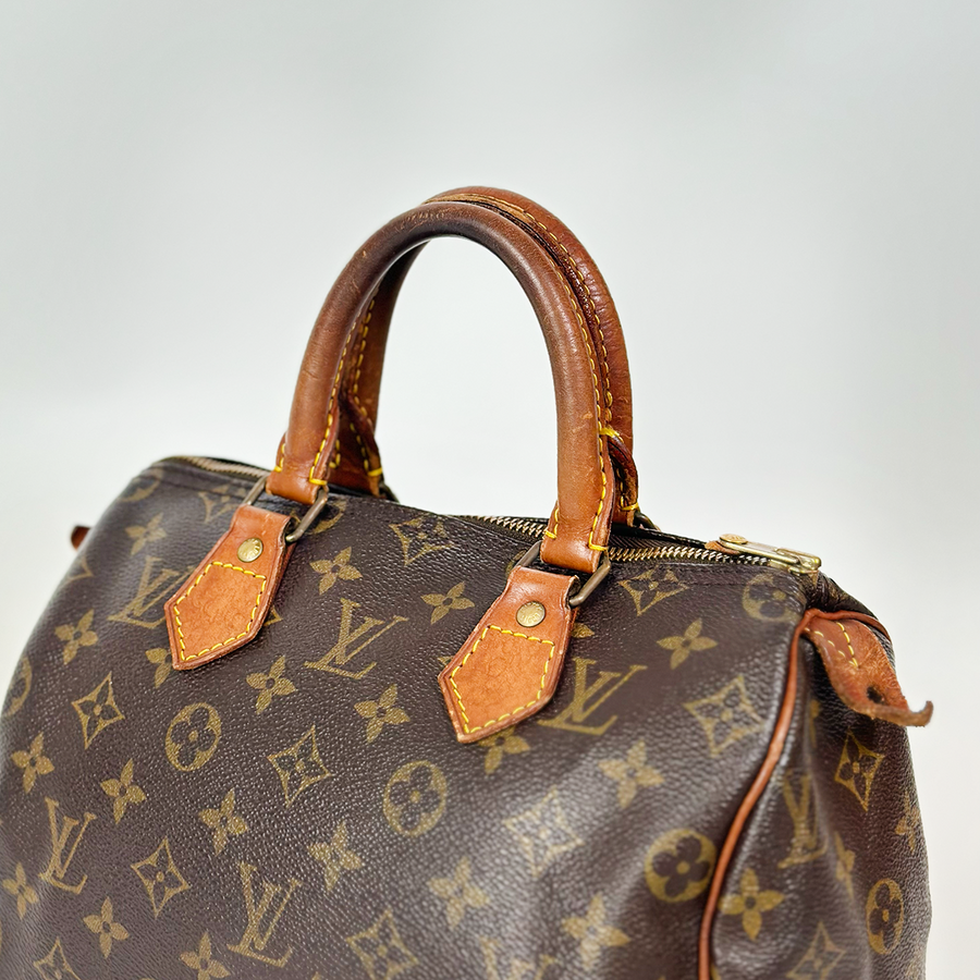 Louis Vuitton Speedy (25)