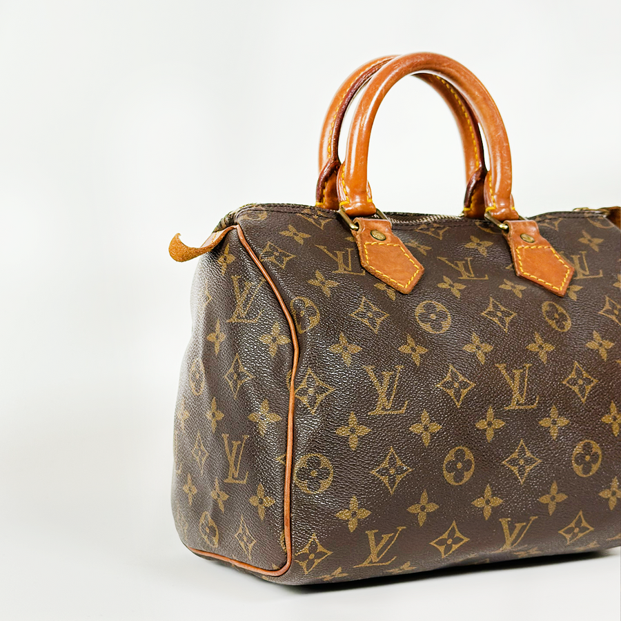 Louis Vuitton Speedy (25)