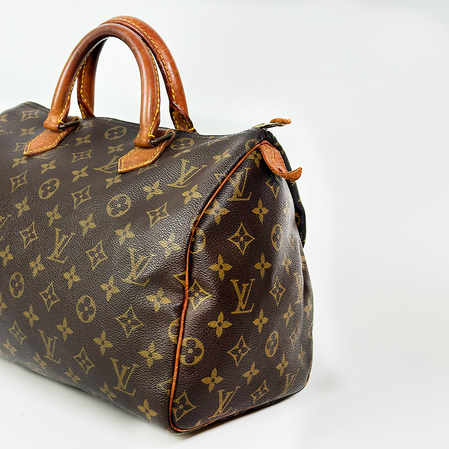 Louis Vuitton Speedy (30)