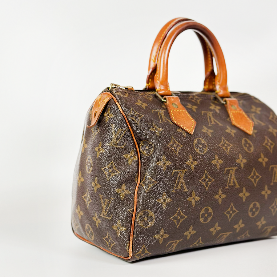 Louis Vuitton Speedy (25)