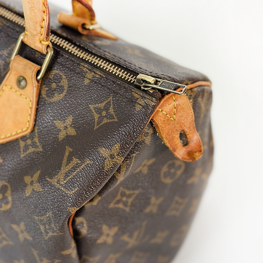 Louis Vuitton Speedy (30)