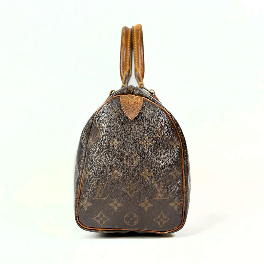 Louis Vuitton Speedy (25)