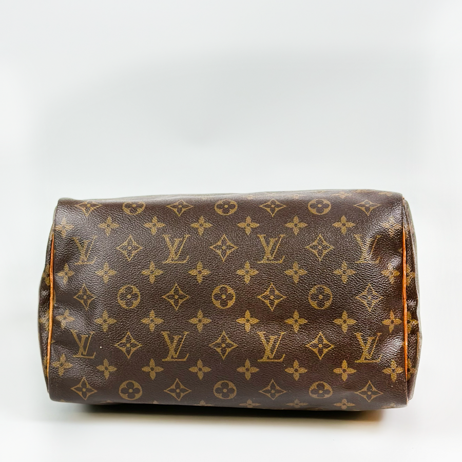 Louis Vuitton Speedy (30)