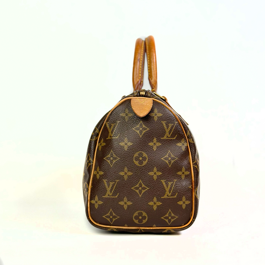 Louis Vuitton Speedy (25)