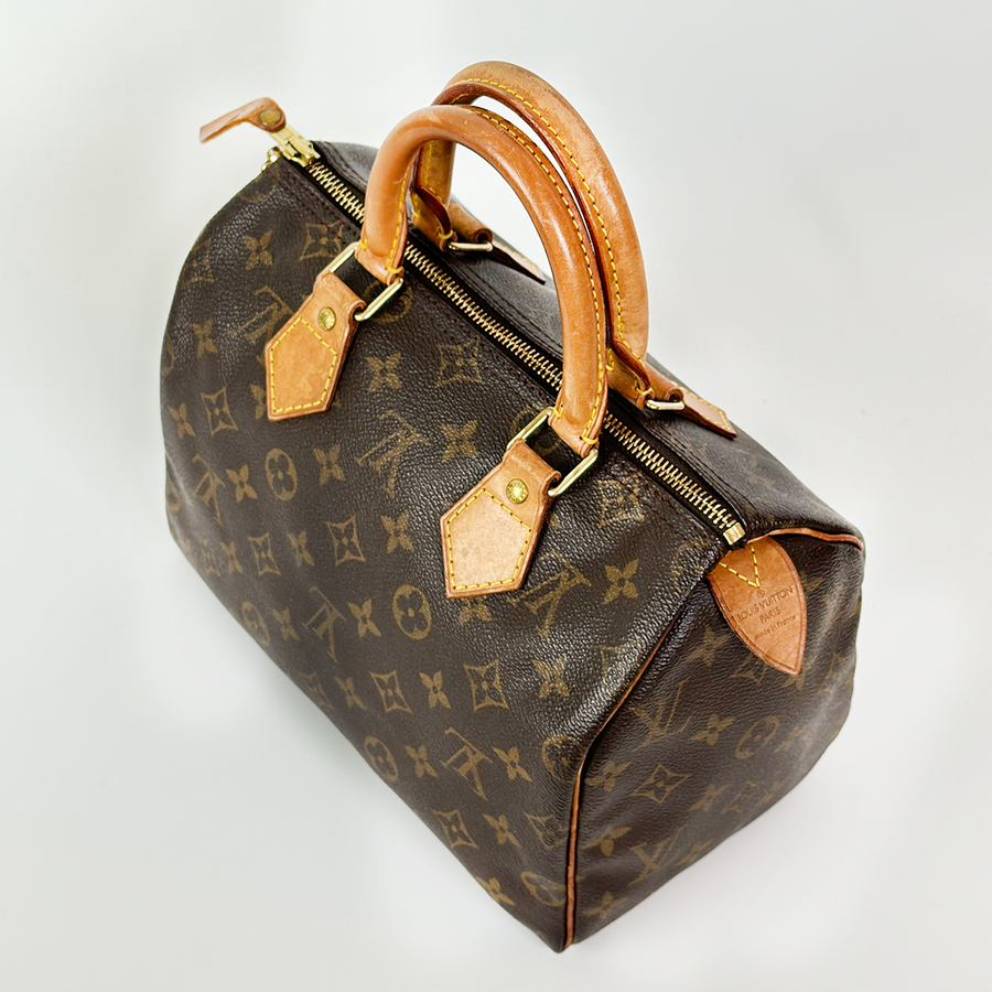 Louis Vuitton Speedy (25)