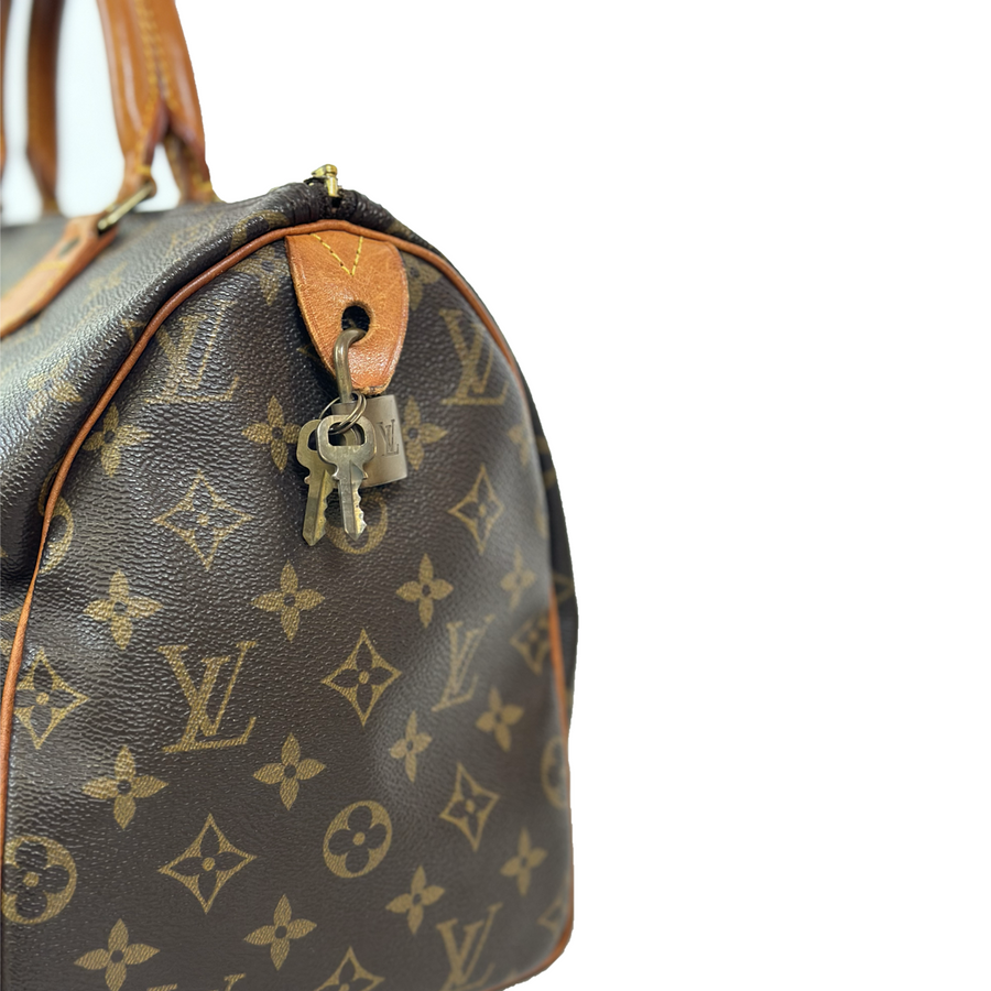 Louis Vuitton Speedy (30)