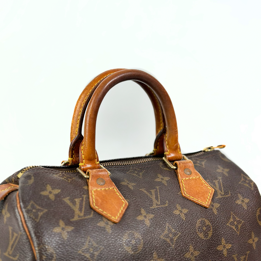 Louis Vuitton Speedy (25)