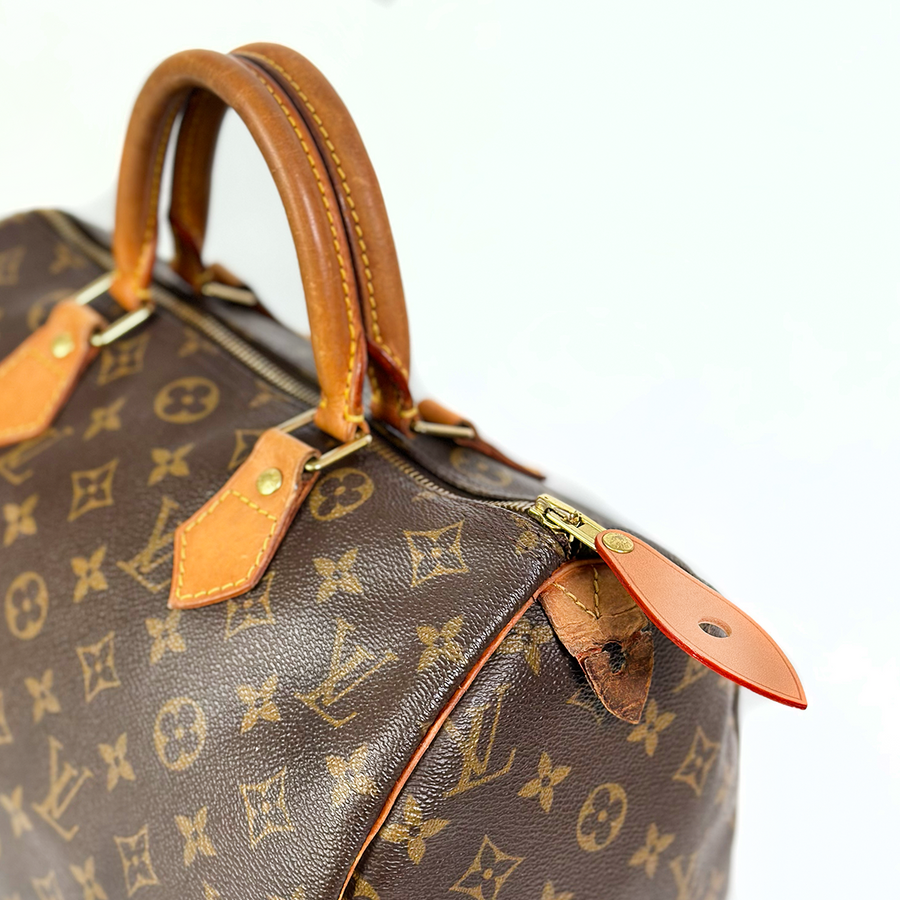 Louis Vuitton Speedy (30)