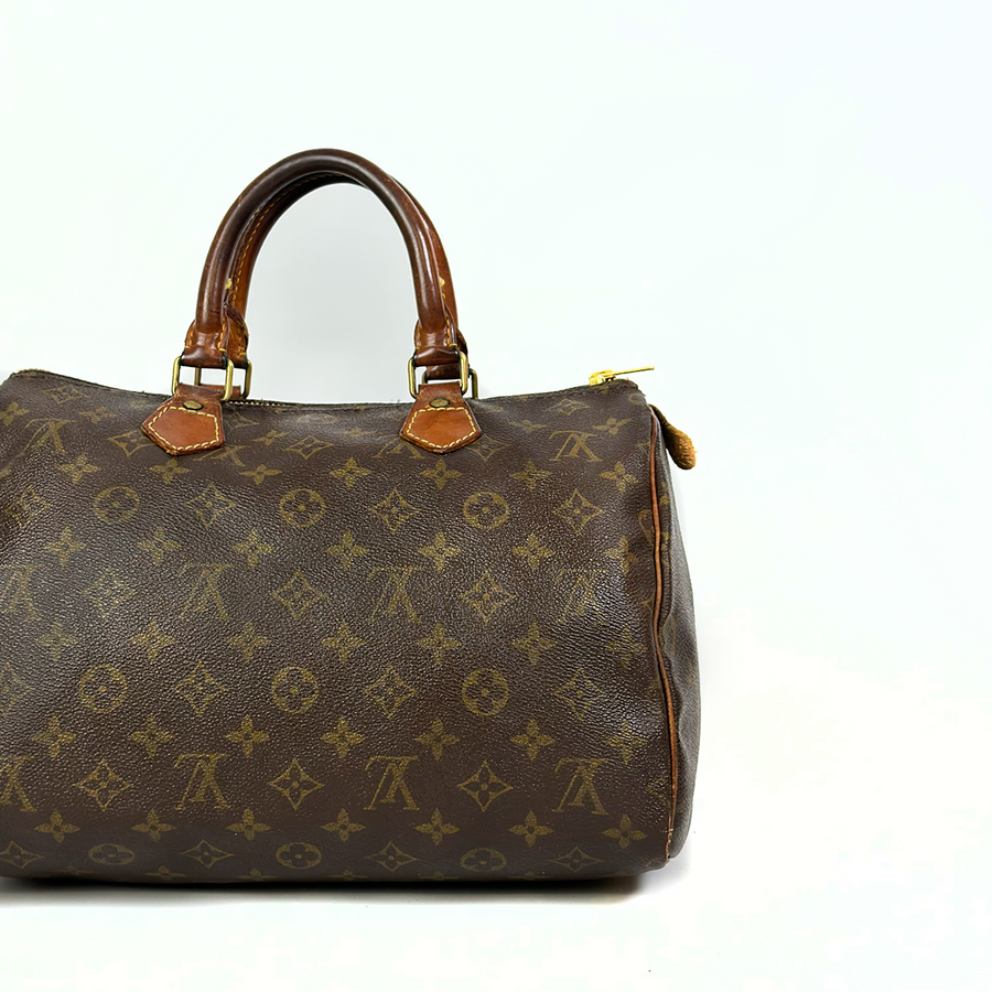 Louis Vuitton Speedy (30)