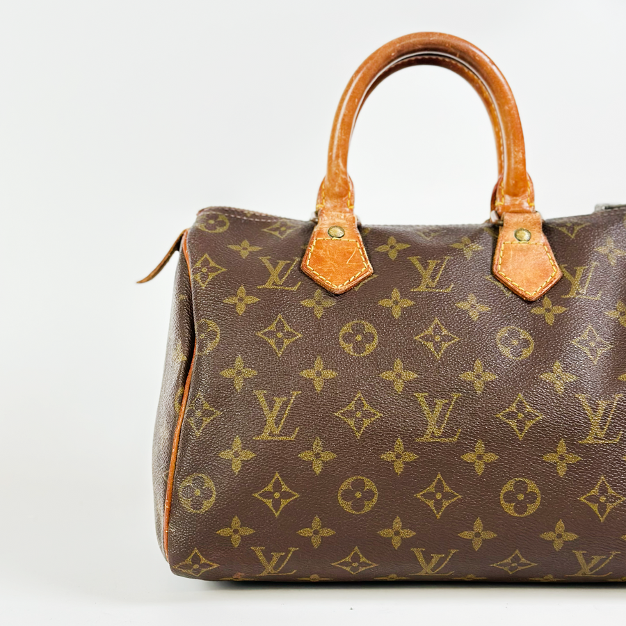 Louis Vuitton Speedy (25)