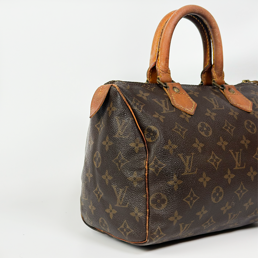 Louis Vuitton Speedy (25)