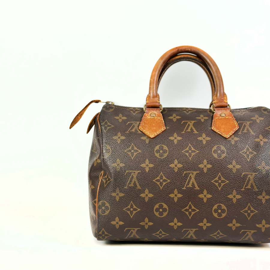 Louis Vuitton Speedy (25)