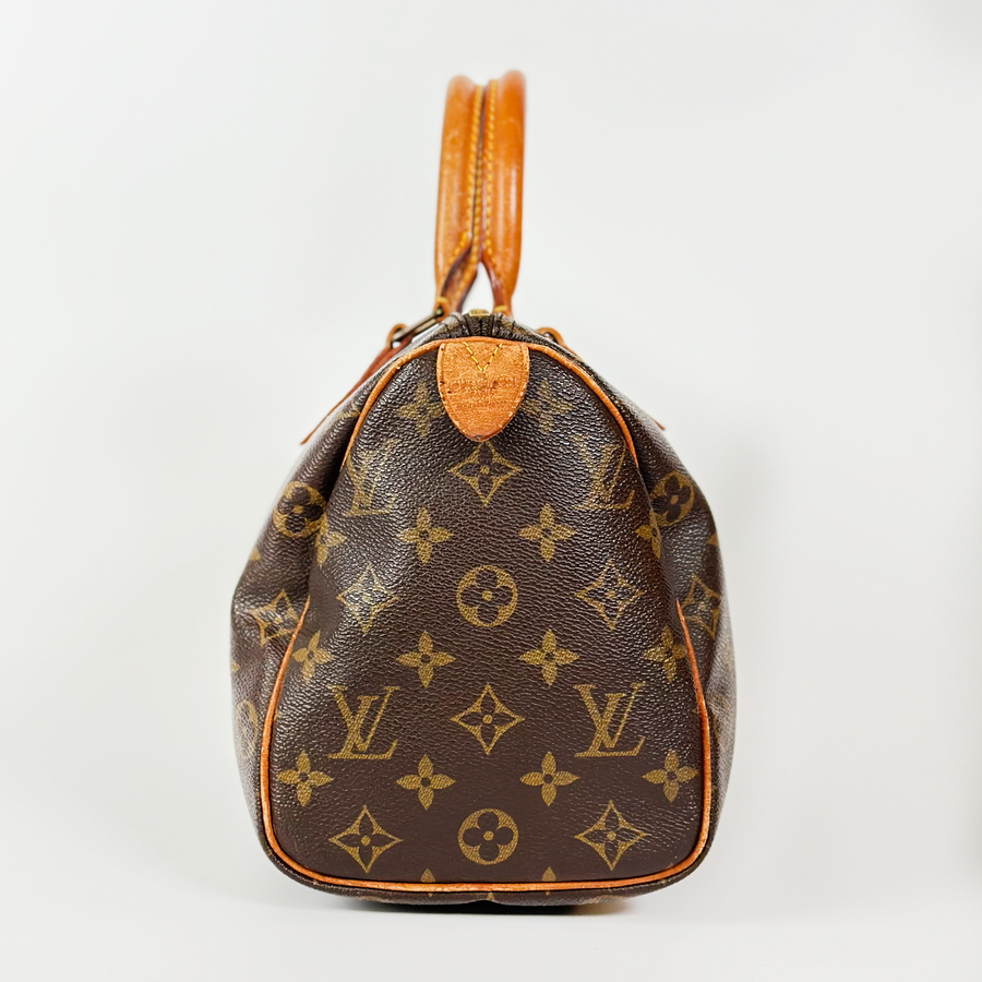 Louis Vuitton Speedy (25)