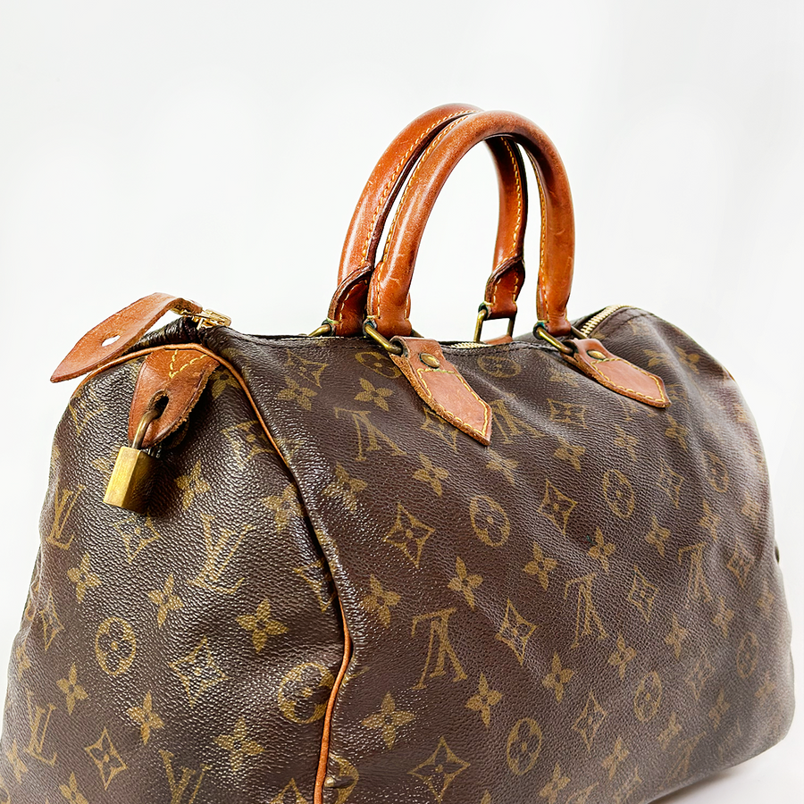 Louis Vuitton Speedy (30)