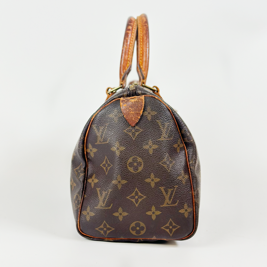 Louis Vuitton Speedy (25)