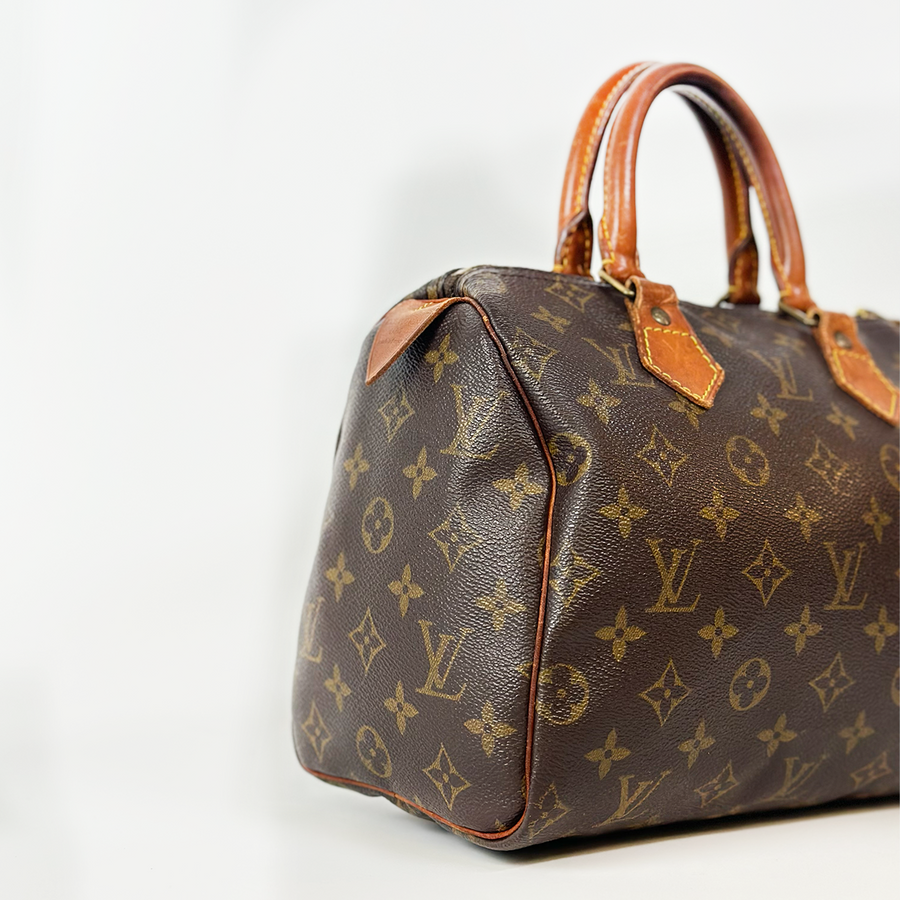 Louis Vuitton Speedy (25)