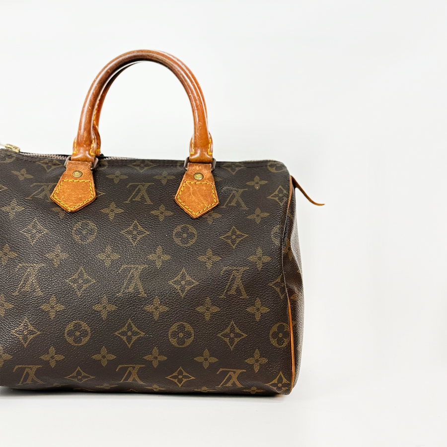 Louis Vuitton Speedy (25)