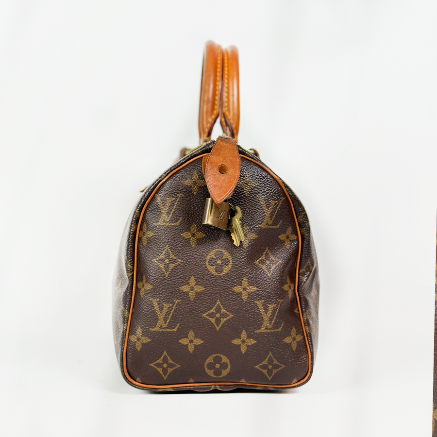 Louis Vuitton Speedy (25)