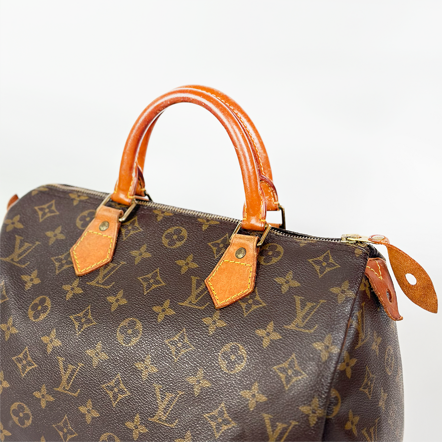 Louis Vuitton Speedy (30)