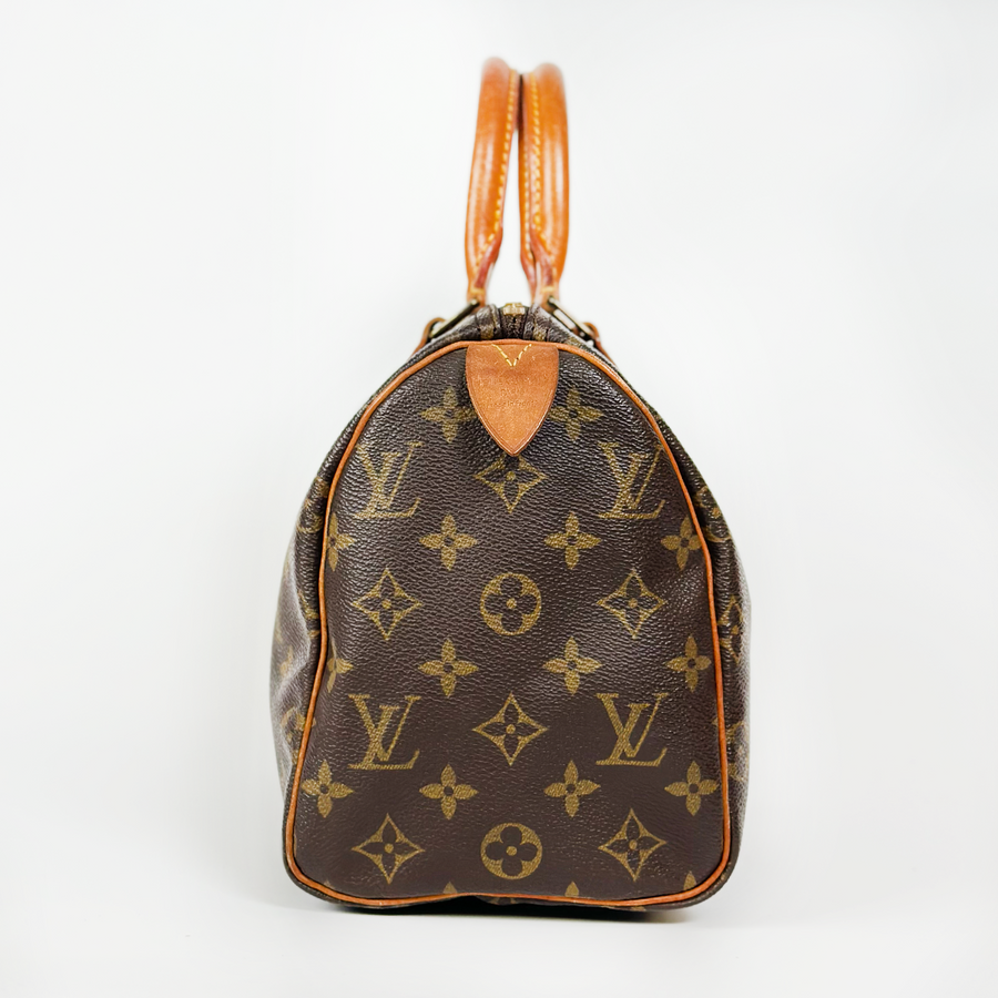 Louis Vuitton Speedy (25)