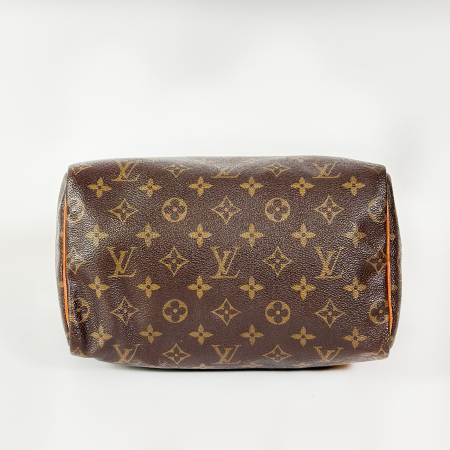 Louis Vuitton Speedy (25)