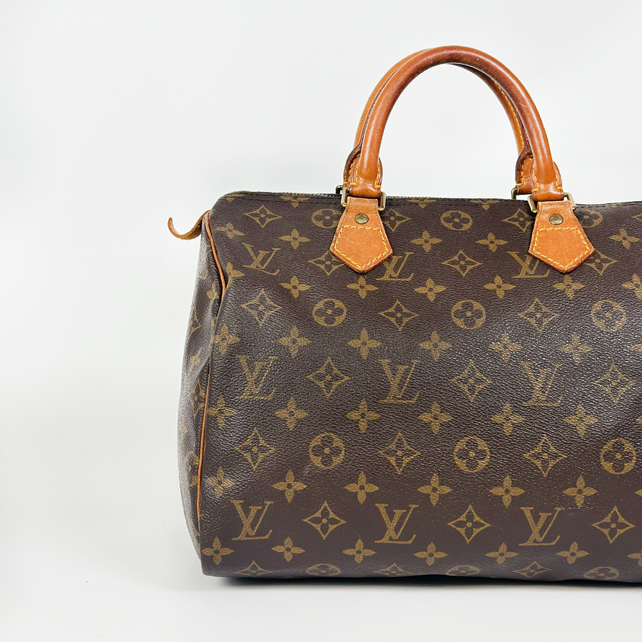 Louis Vuitton Speedy (30)