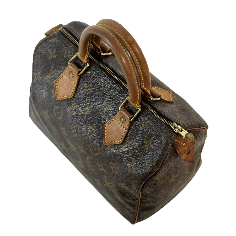 Louis Vuitton Speedy (25)