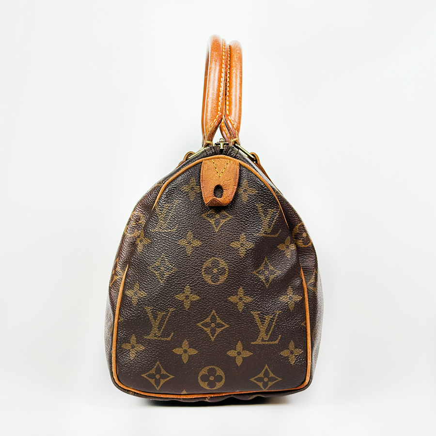 Louis Vuitton Speedy (25)