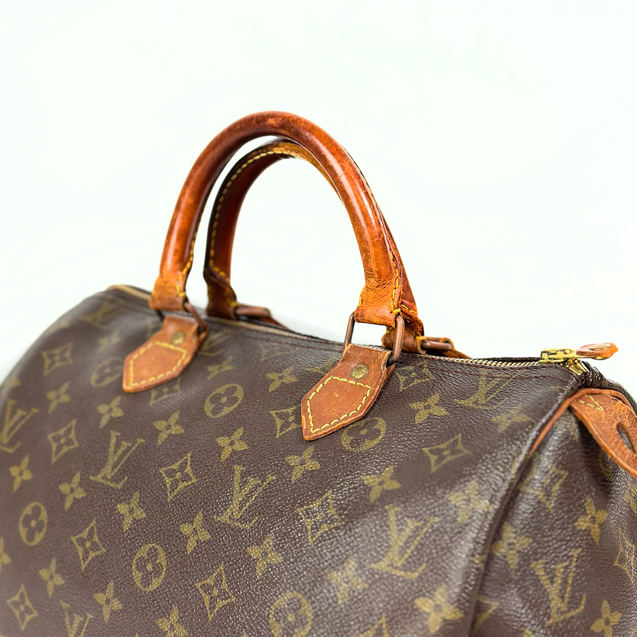 Louis Vuitton Speedy (30)