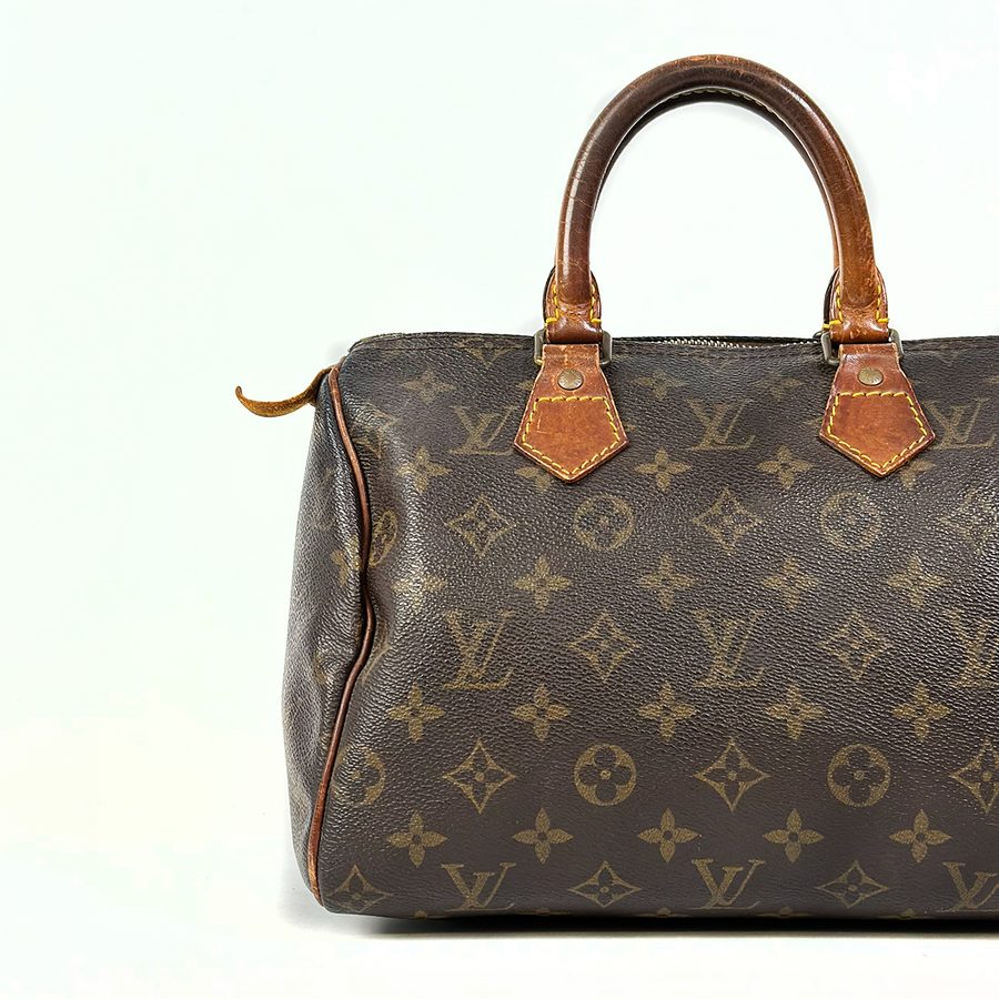 Louis Vuitton Speedy (25)