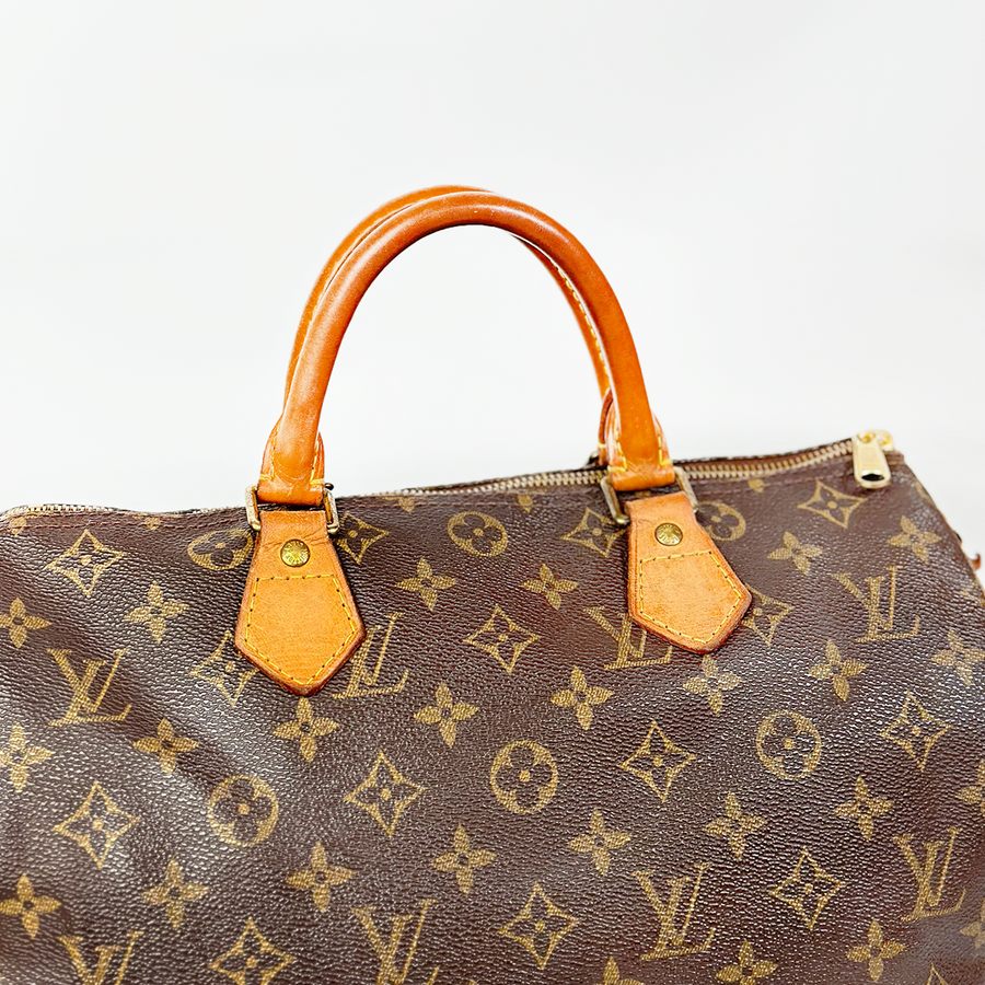 Louis Vuitton Speedy (30)