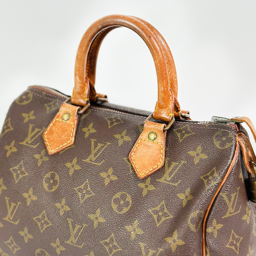 Louis Vuitton Speedy (25)