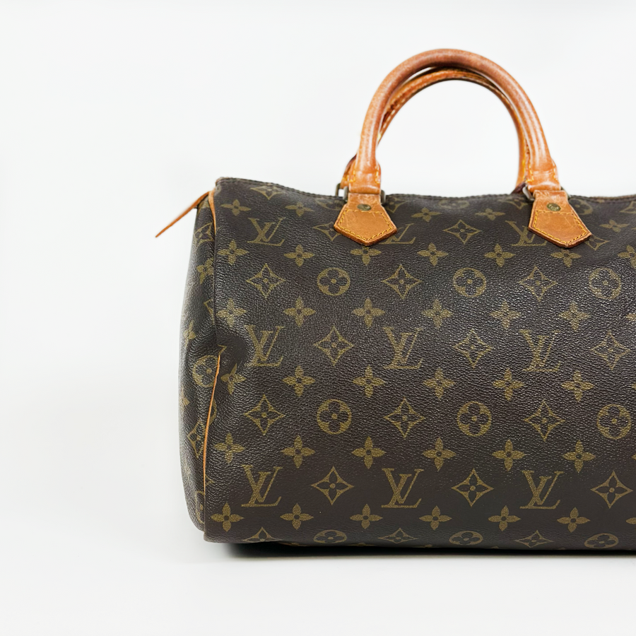 Louis Vuitton Speedy (30)