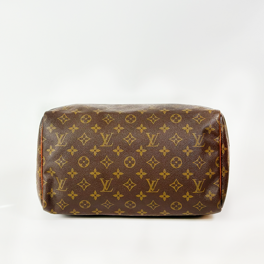 Louis Vuitton Speedy (30)