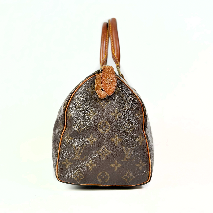 Louis Vuitton Speedy (25)