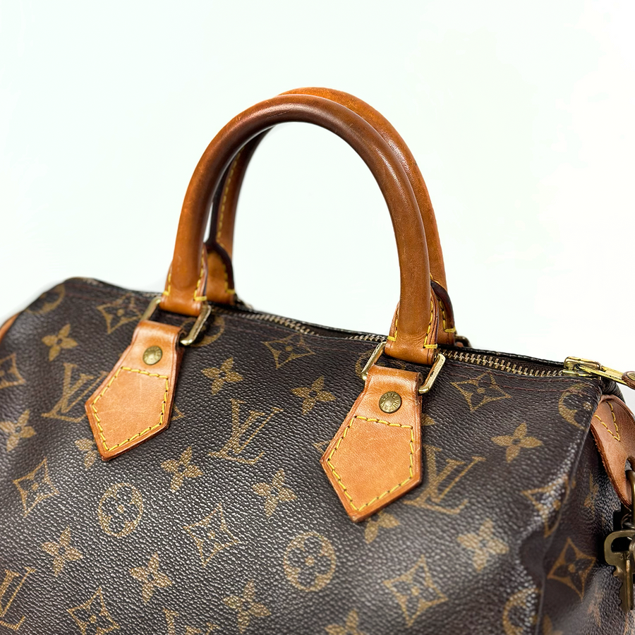 Louis Vuitton Speedy (25)