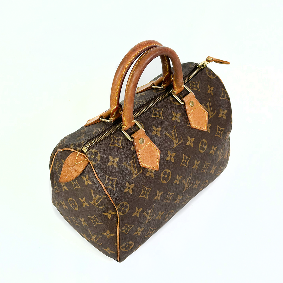 Louis Vuitton Speedy (25)