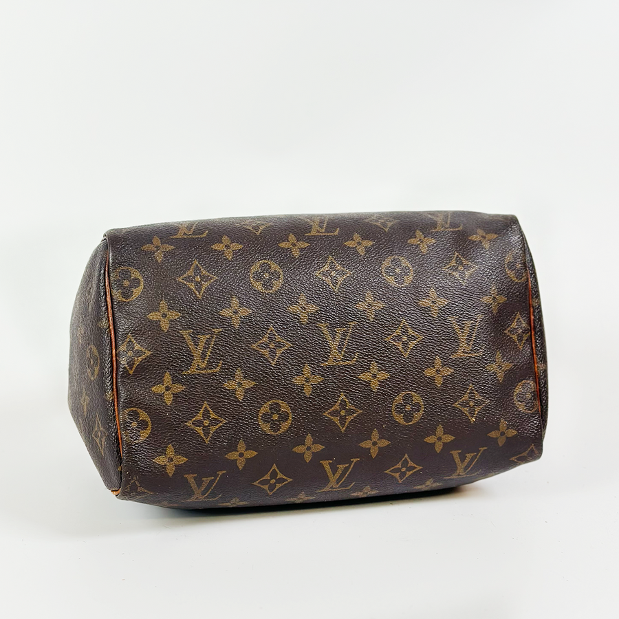 Louis Vuitton Speedy (25)