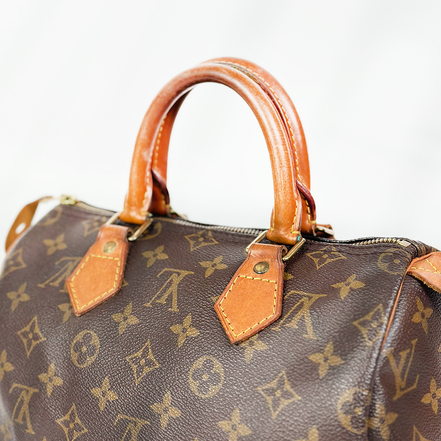 Louis Vuitton Speedy (25)