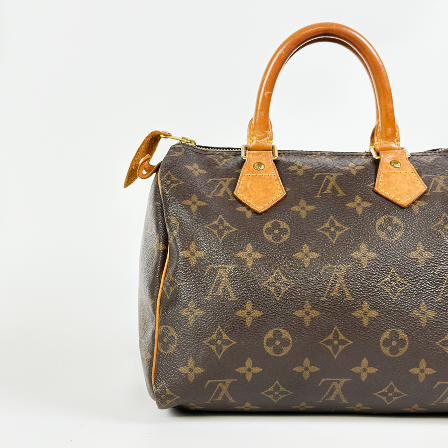 Louis Vuitton Speedy (25)