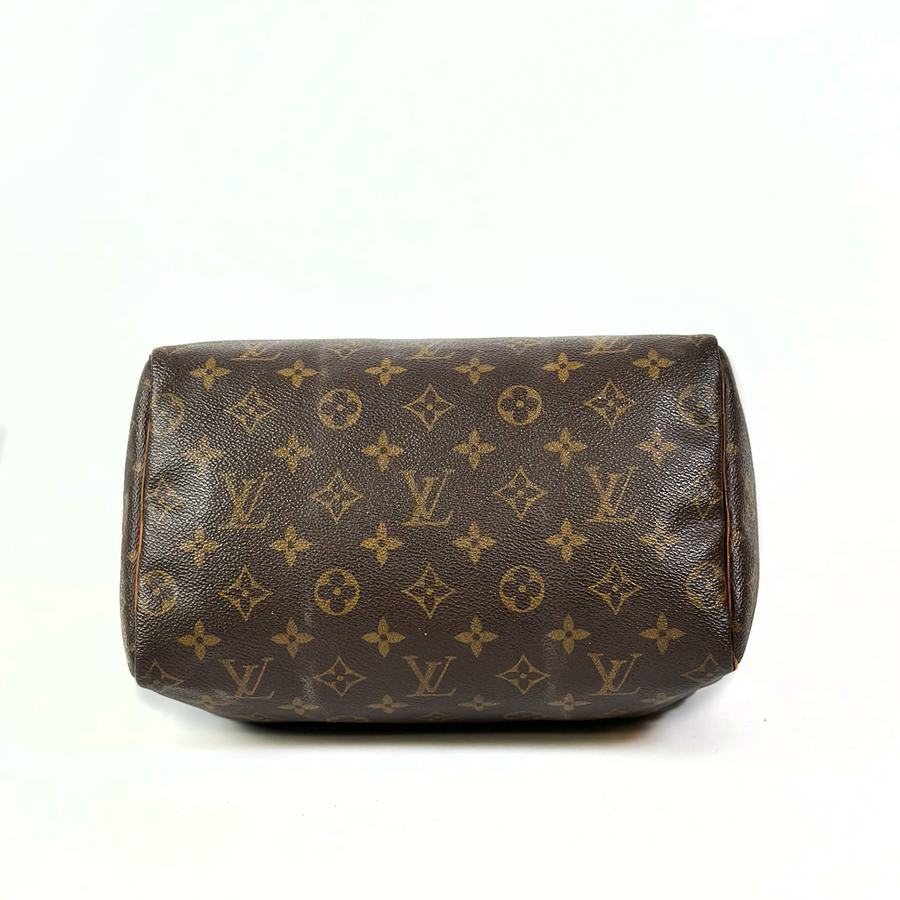 Louis Vuitton Speedy (25)