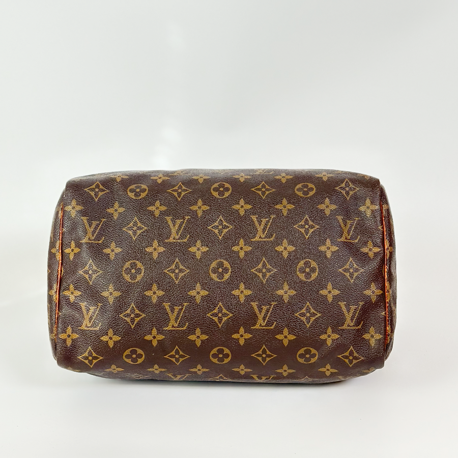 Louis Vuitton Speedy (30)