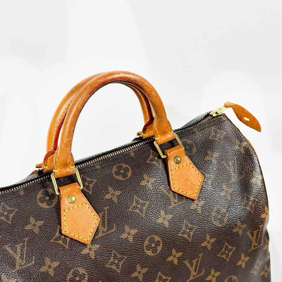 Louis Vuitton Speedy (30)