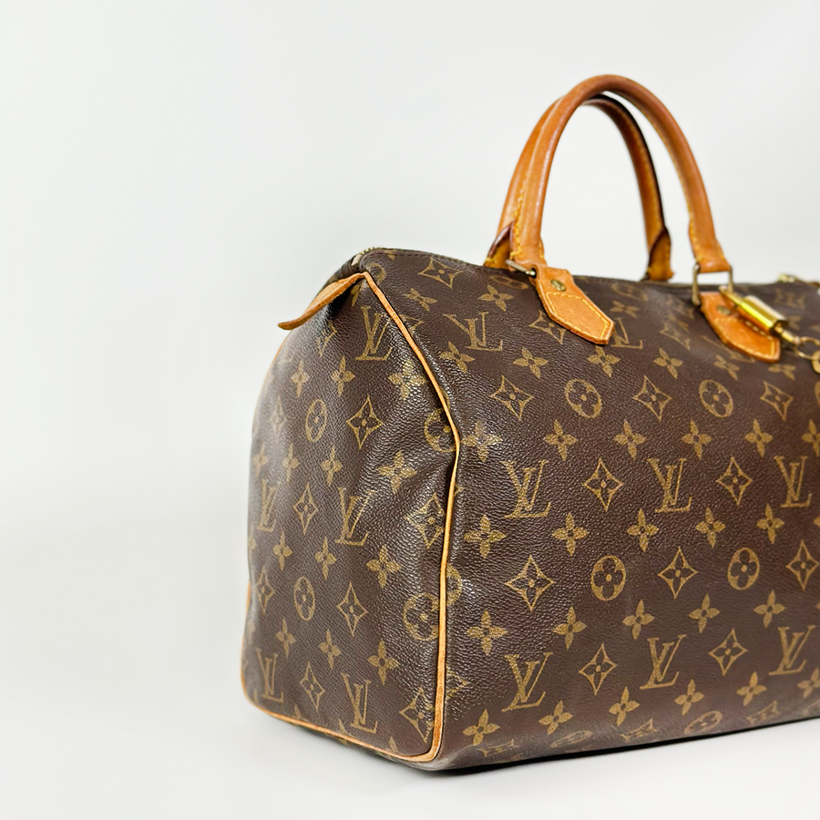 Louis Vuitton Speedy (30)