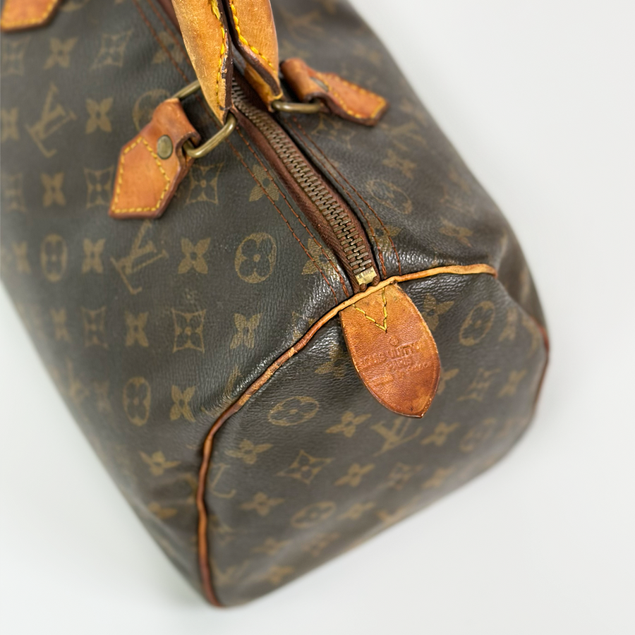 Louis Vuitton Speedy (30)