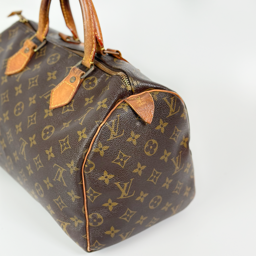 Louis Vuitton Speedy (30)